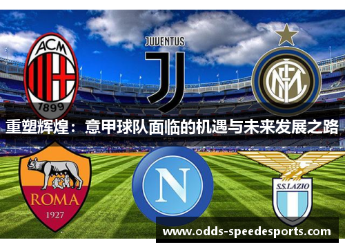 重塑辉煌：意甲球队面临的机遇与未来发展之路
