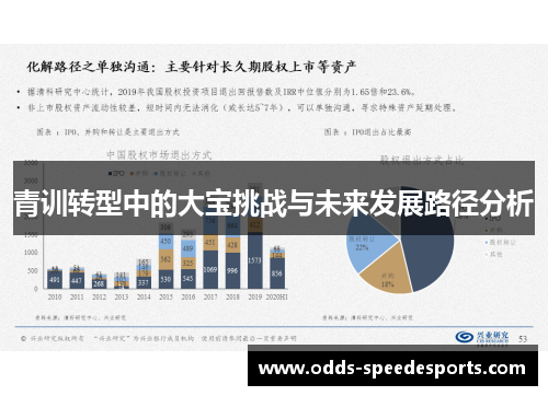 青训转型中的大宝挑战与未来发展路径分析 青训转型中的大宝挑战与未来发展路径分析